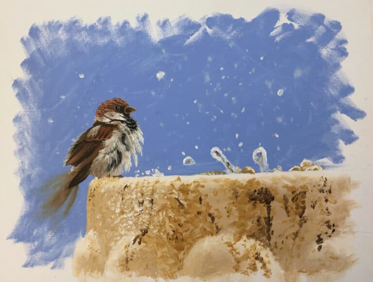 Paint a Bird at a Fountain