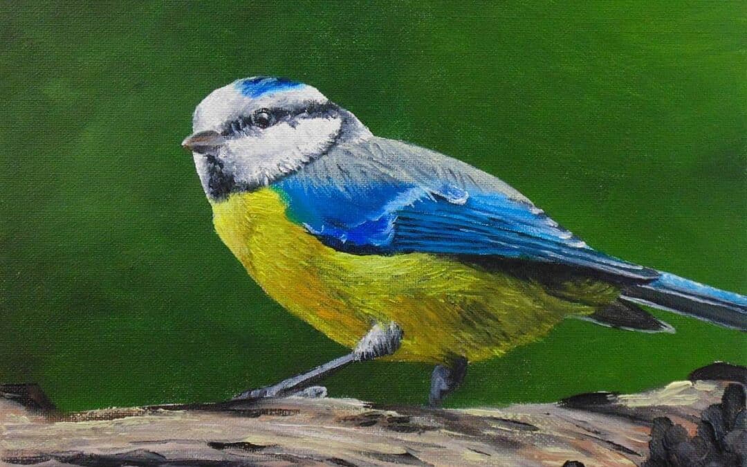 How to Paint Birds in Oil – Blue Tit