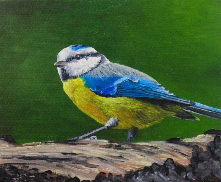 How to Paint Birds in Oil – Blue Tit