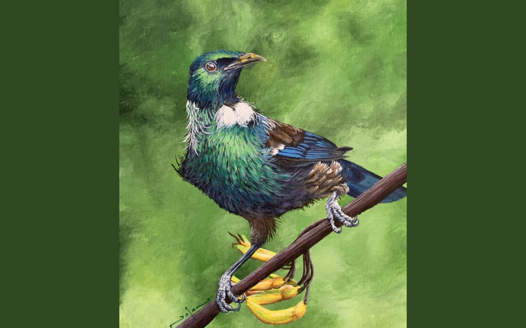 How to Paint Birds – Tui