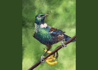 How to Paint Birds – Tui