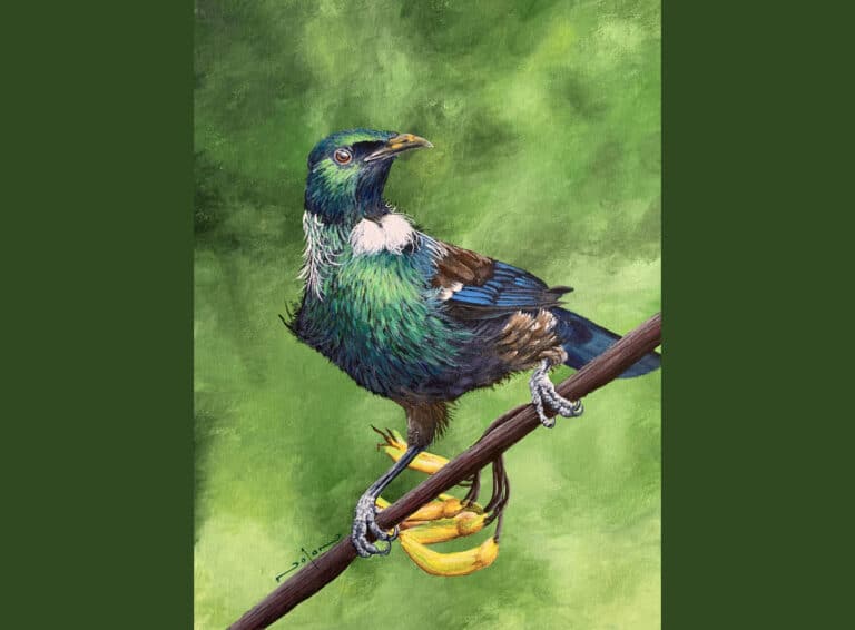 How to Paint Birds – Tui
