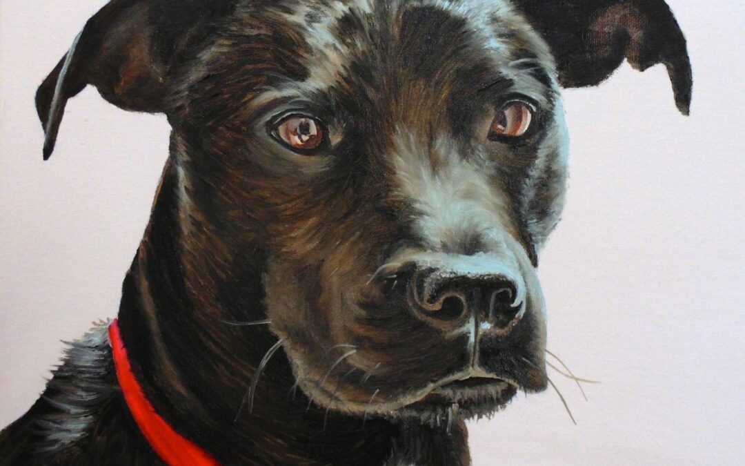How to Paint Black Hair Animals (Dog)