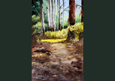 How to Paint Bluegum Trees in Forest in Watercolor