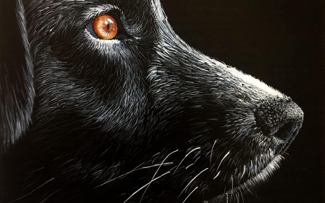 How to Paint a Dog on Black Canvas