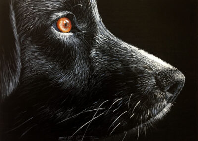 How to Paint a Dog on Black Canvas