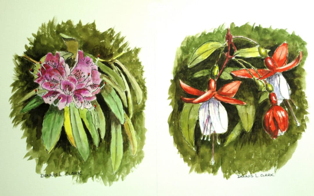 How to Paint Flowers in Line and Wash