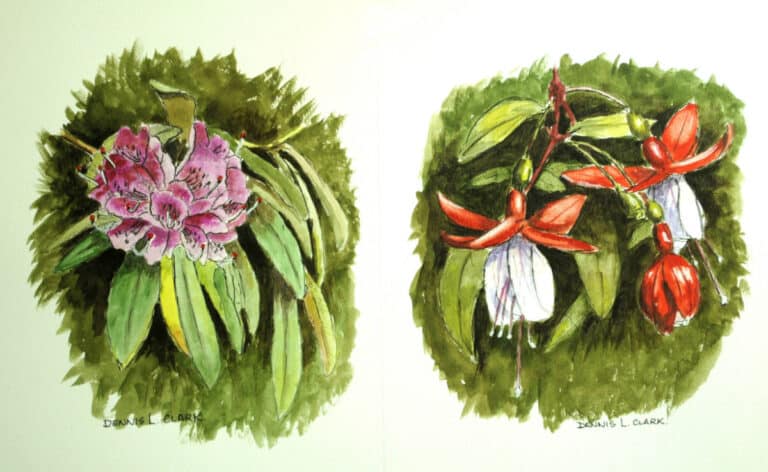 How to Paint Flowers in Line and Wash