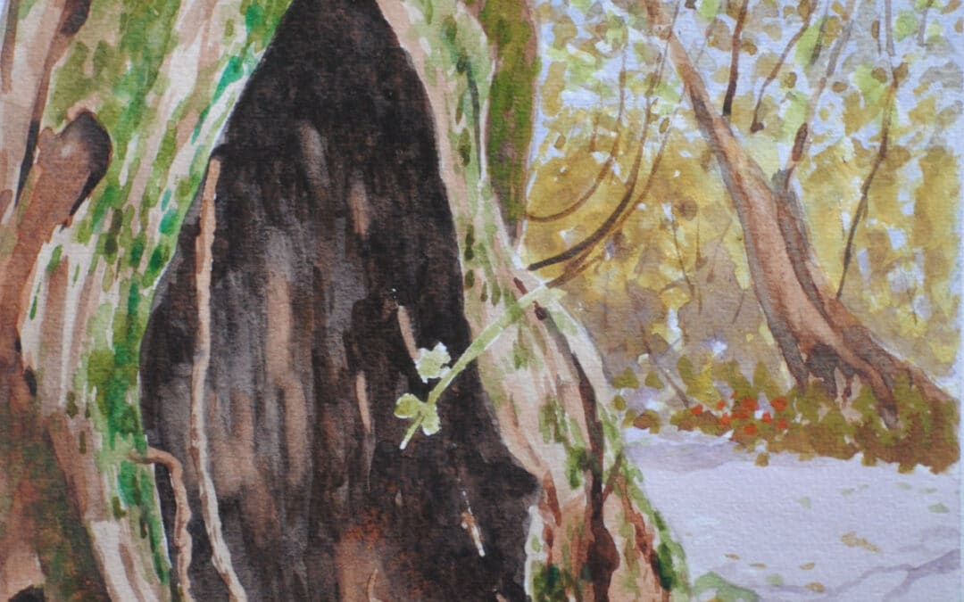 Paint Moss Covered Tree