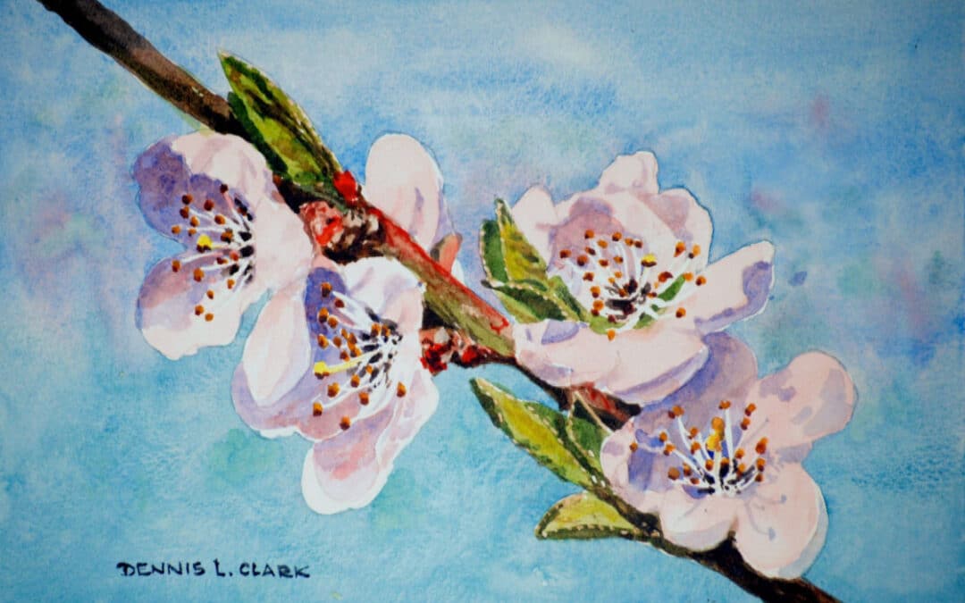 How to Paint Peach Blossoms in Watercolour