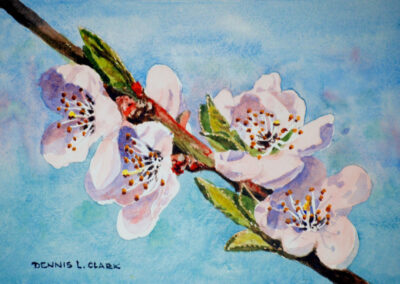 How to Paint Peach Blossoms in Watercolour