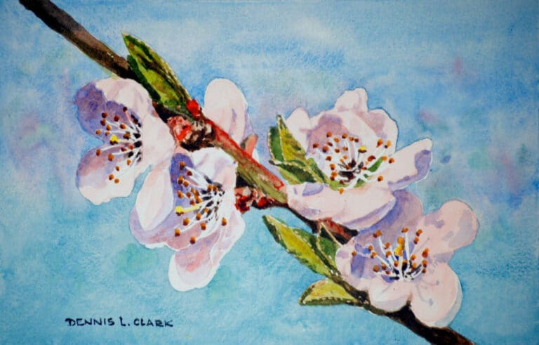 How to Paint Peach Blossoms in Watercolour