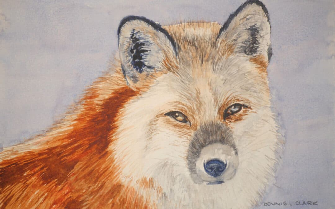 How to Paint a Red Fox Portrait