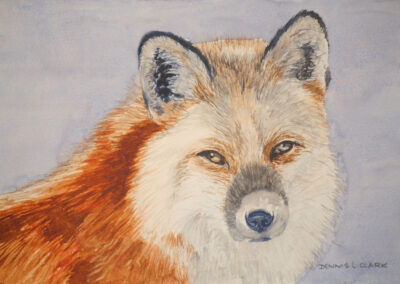 How to Paint a Red Fox Portrait