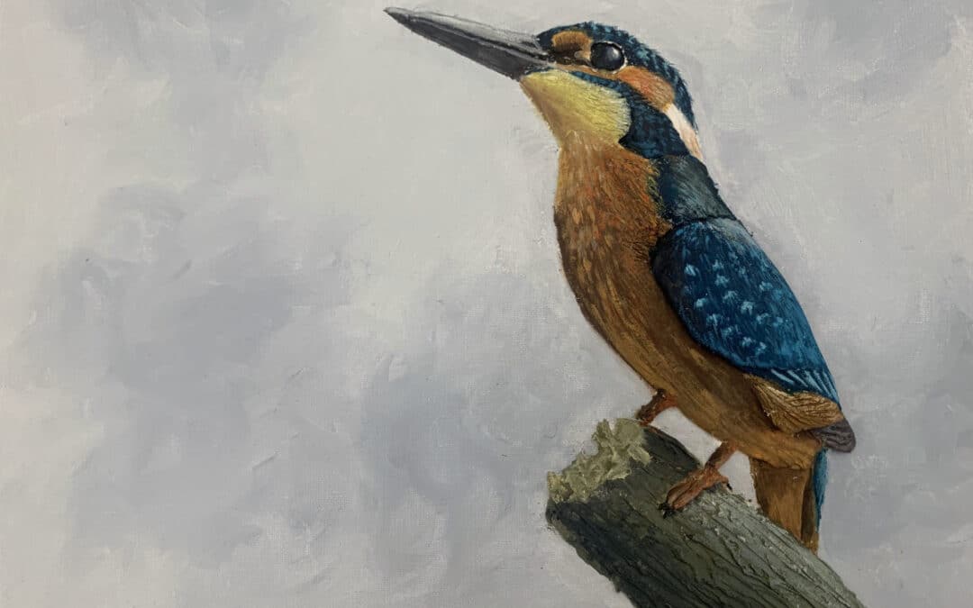Paint a Textured Kingfisher in Acrylic