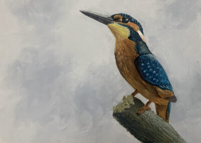 Paint a Textured Kingfisher in Acrylic