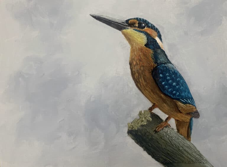 Paint a Textured Kingfisher in Acrylic