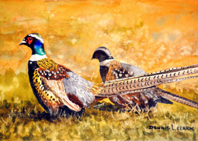 Paint Pheasant Birds in Watercolor