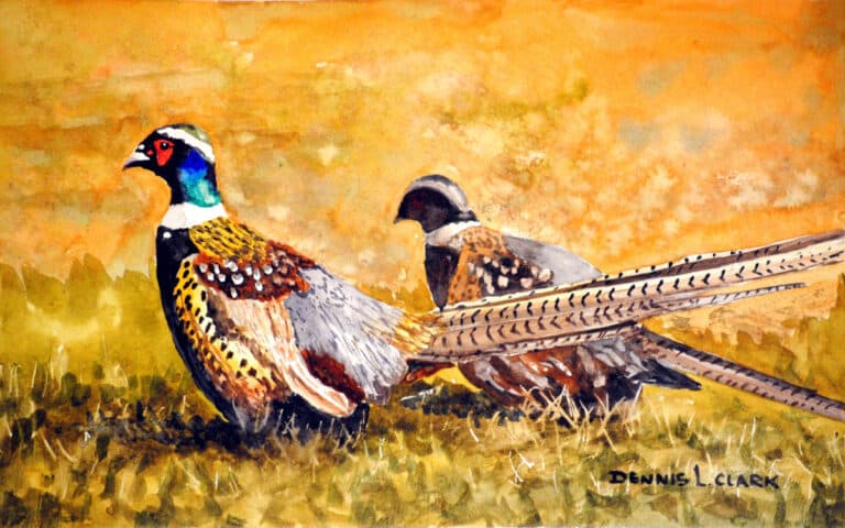 Paint Pheasant Birds in Watercolor