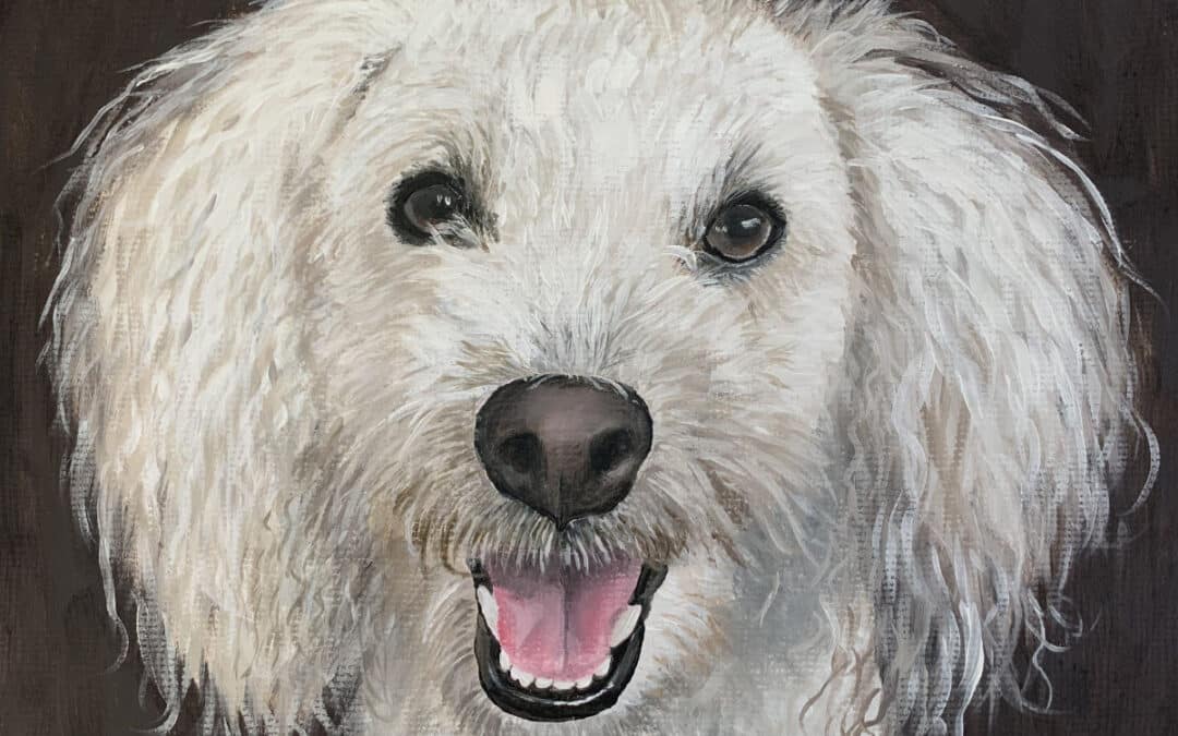 How to Paint White Hair Dogs