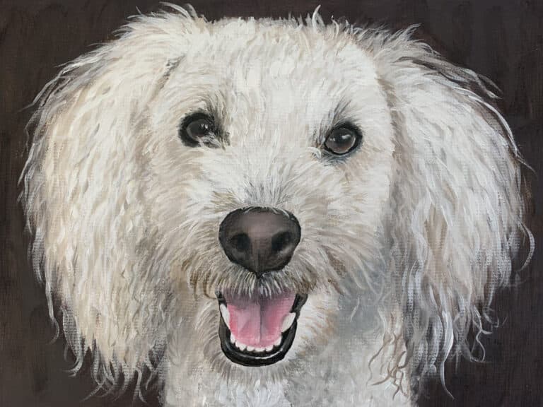 How to Paint White Hair Dogs