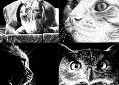 How to Scratchboard Animals Course