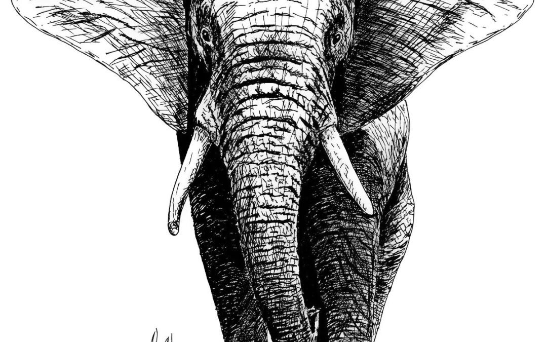 Introduction to Pen and Ink