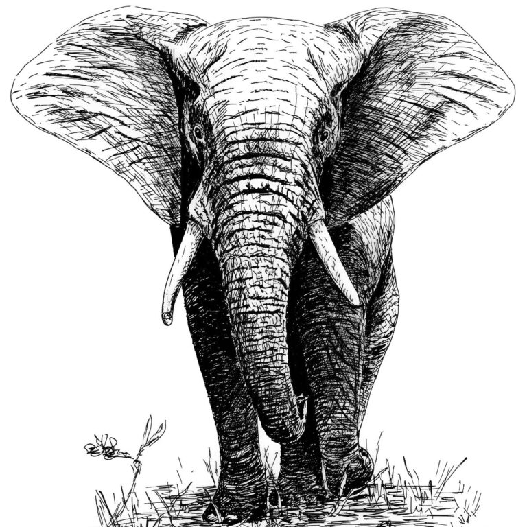 Introduction to Pen and Ink