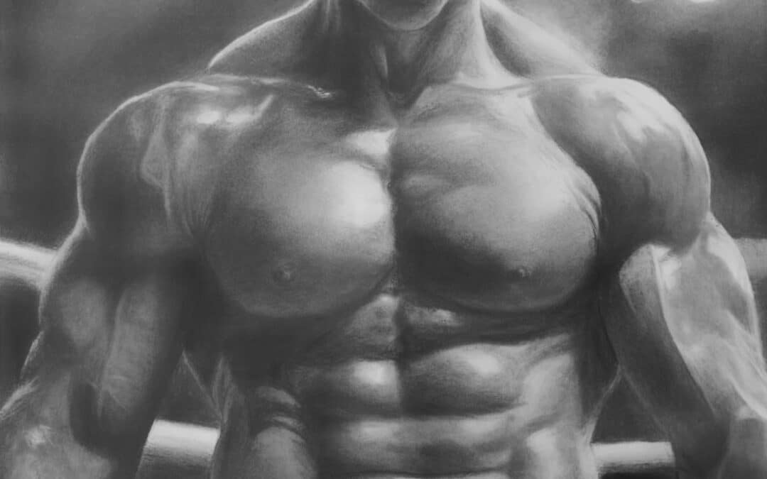 Muscle Drawing