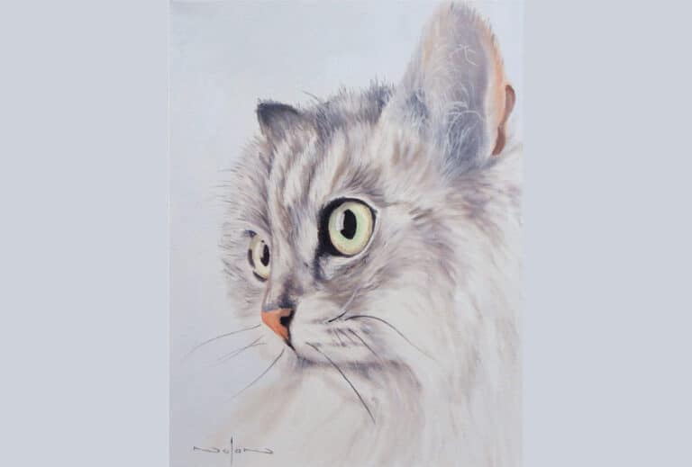 How to Paint a Cat in Oil