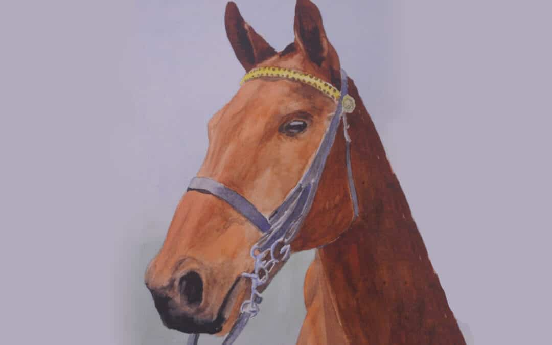 How to Paint a Horse Portrait in Watercolour