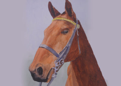 How to Paint a Horse Portrait in Watercolour