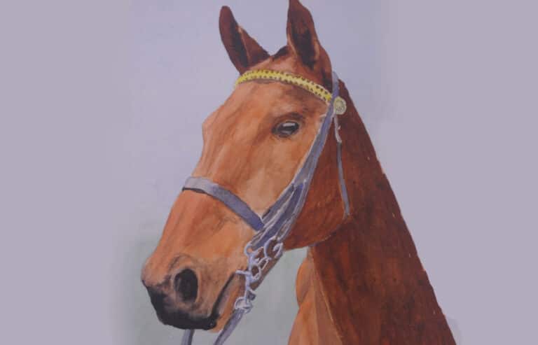 How to Paint a Horse Portrait in Watercolour