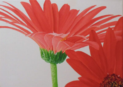 How to Paint Gerbera Flower in Oil