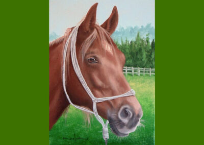 How to Paint a Horse Portrait in Acrylic