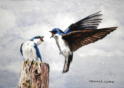 How to Paint Two Swallows in Watercolour