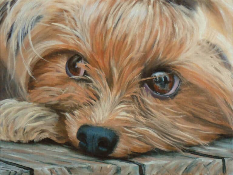 How to Paint a Yorkshire Terrier in Oil
