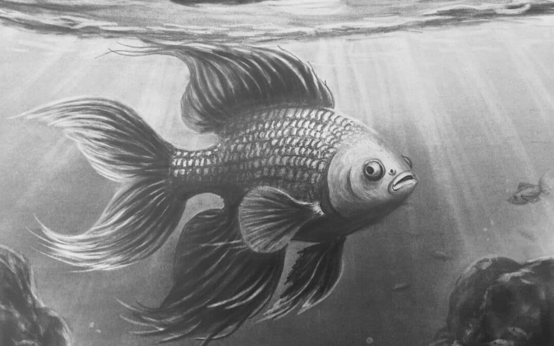 Drawing Realistic Siamese Fighter Fish