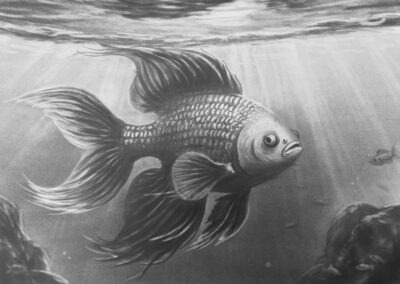 Drawing Realistic Siamese Fighter Fish