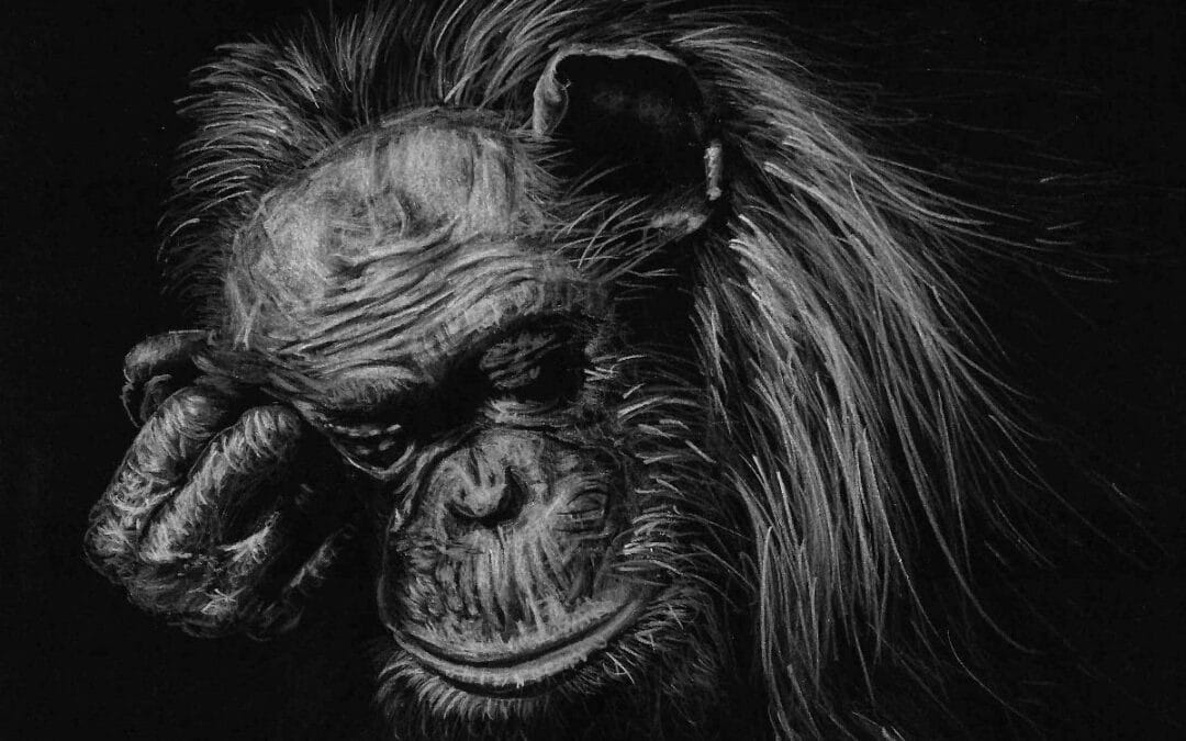 How to Draw a Sleeping Chimpanzee