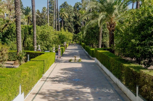 garden with path in cast shadow