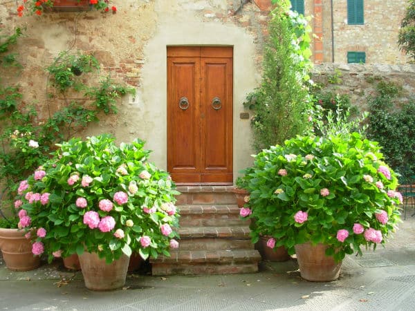 potted plants with reflected green from leaves inside cast shadow