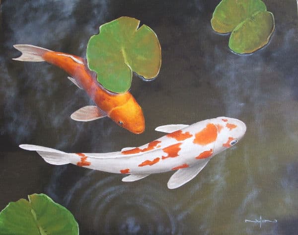 nolan clark koi painting showing reflected light on fins