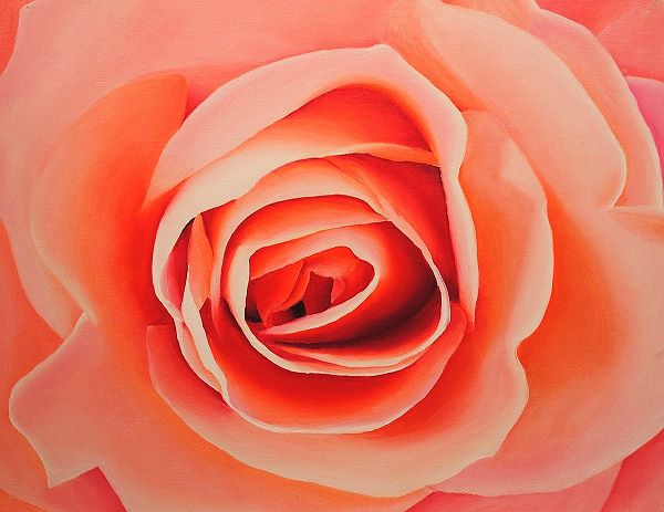 Painting of a rose with irregular pattern