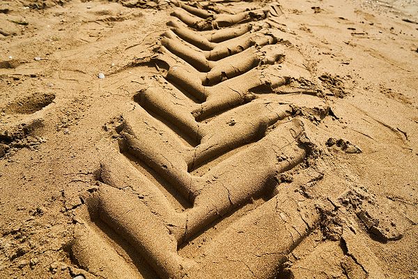 tracks in sand indicate past movement