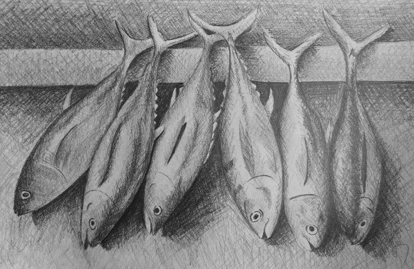 cross hatched fish drawing