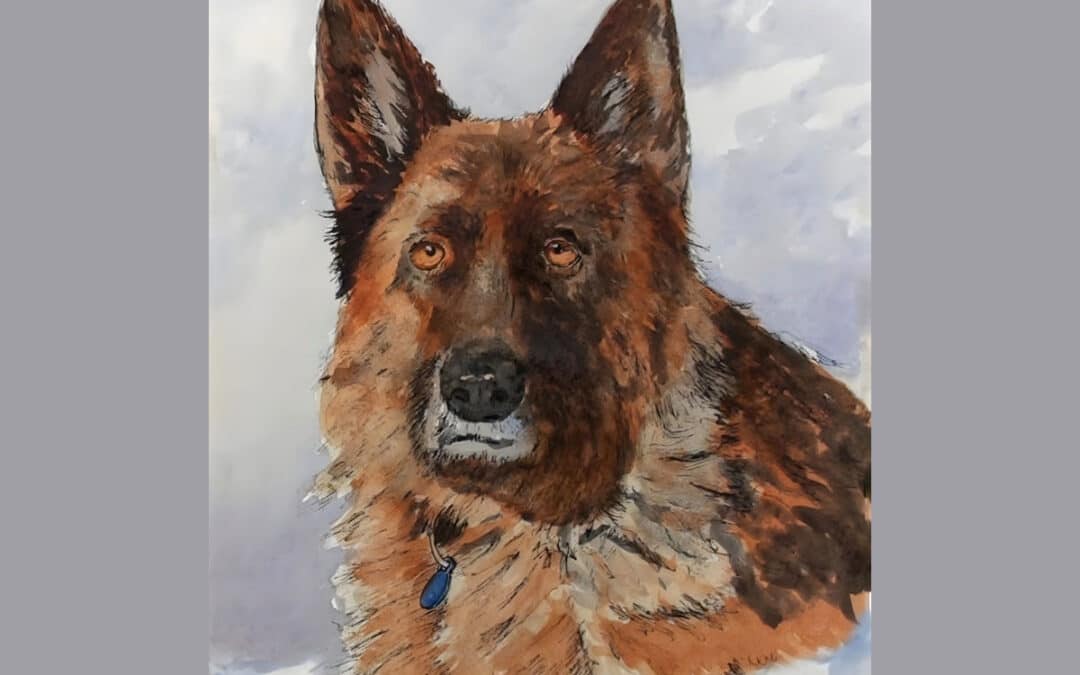 German Shepherd in Line & Wash