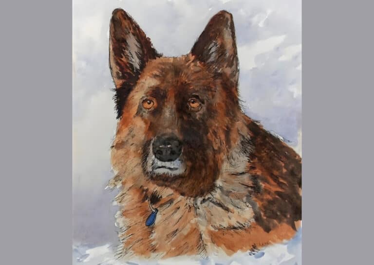 German Shepherd in Line & Wash