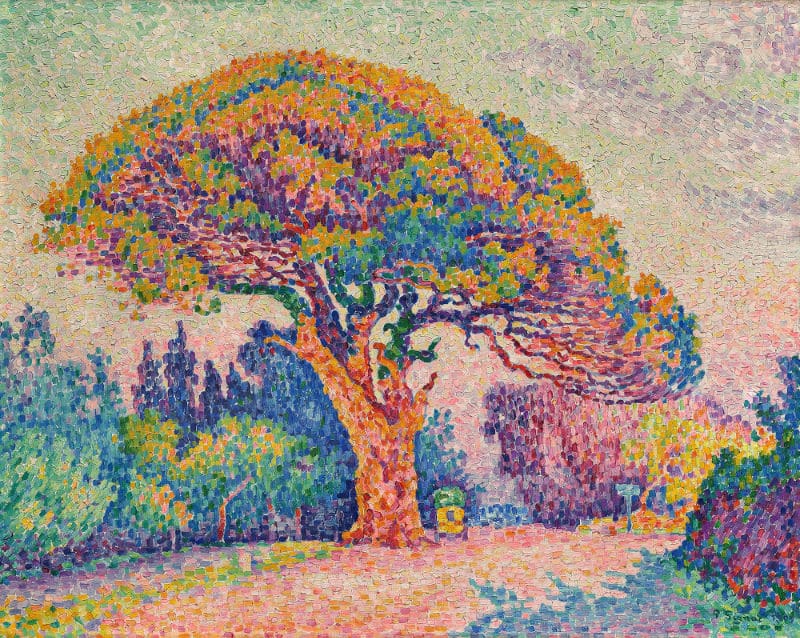 history-of-pointillism-5-paul-signac-pine-tree-at-st-tropez-800-80
